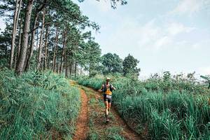 BIB: 
                            <button type="button" onclick="openModal(25652175)" class="btn btn-primary btn-sm float-right btn-popup" data-toggle="modal" data-target=".modal-high-quality">
                        <i class="fas fa-shopping-cart"></i> Add to Cart
                    </button>
                                            <button type="button" onclick="isThisMe(25652175, true)" class="btn btn-success btn-sm float-right btn-popup btn-isme hidden" data-toggle="tooltip" data-placement="bottom" title="นี่คือรูปของคุณใช่ไหม คลิกที่นี่เพื่อเอาเข้าอัลบั้ม">
                        <i class="fas fa-plus"></i> Add to album
                    </button>
                    <button type="button" onclick="isThisMe(25652175, false)" class="btn btn-warning btn-sm float-right btn-popup btn-isnotme hidden">
                        <i class="fas fa-ban"></i> Remove from album
                    </button>